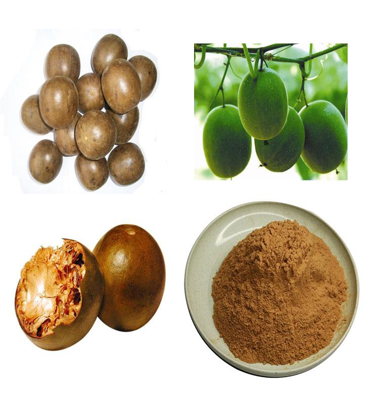 product-497-358 monk-fruit-extract