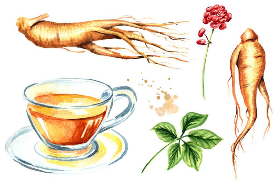 ginseng root extract ginseng root extract