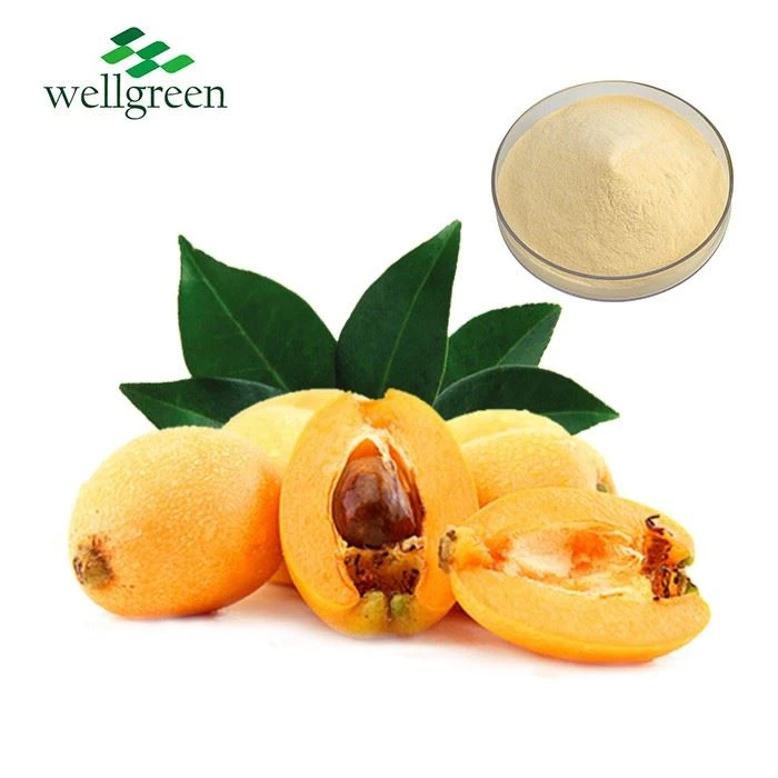 Loquat Fruit Powder