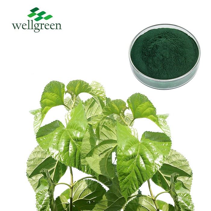 info-1-1 Mulberry Leaf Extract