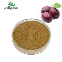 Ekstrak Plum Hitam